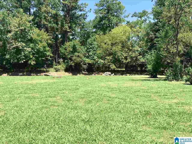 45 Royal Coach Cir Unit 4, Bessemer AL, 35022 land for sale