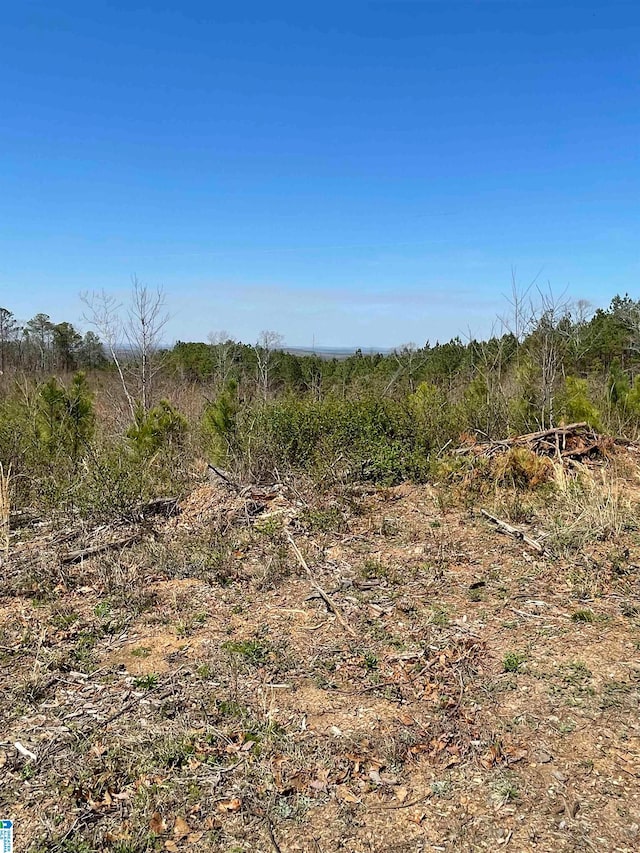 1090 Spivey Rd Unit 3.17, Cragford AL, 36255 land for sale