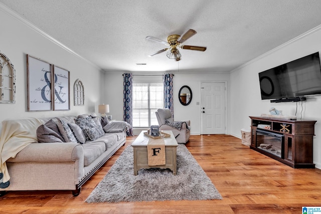 living room with ceiling fan, crown molding, a textured ceiling, and light wood-type flooring