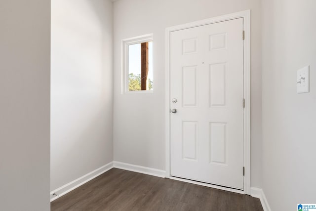 entrance foyer featuring dark hardwood / wood-style flooring