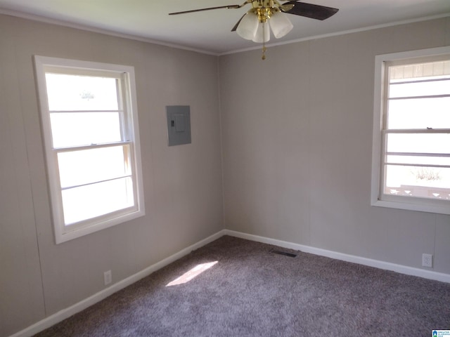 carpeted empty room with ceiling fan and crown molding