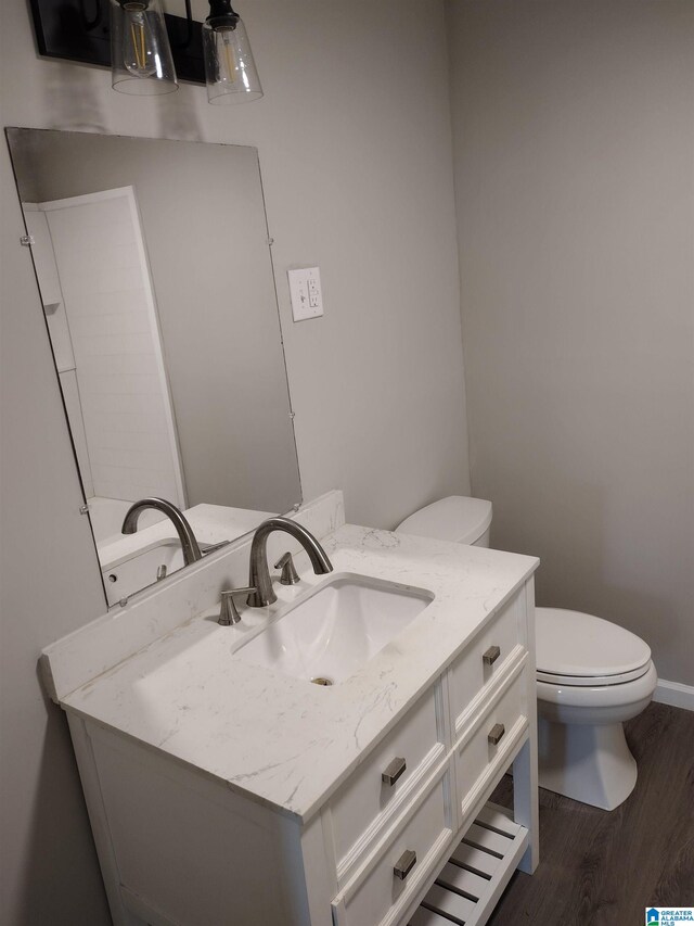 bathroom featuring toilet, vanity, and wood-type flooring