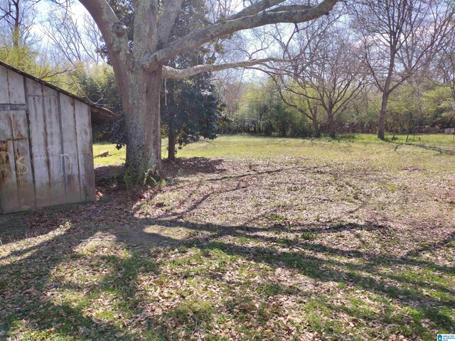 view of yard featuring a storage shed