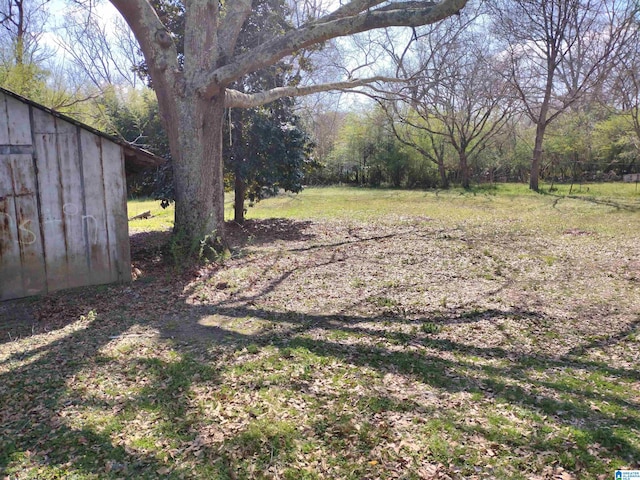 view of yard featuring a storage shed