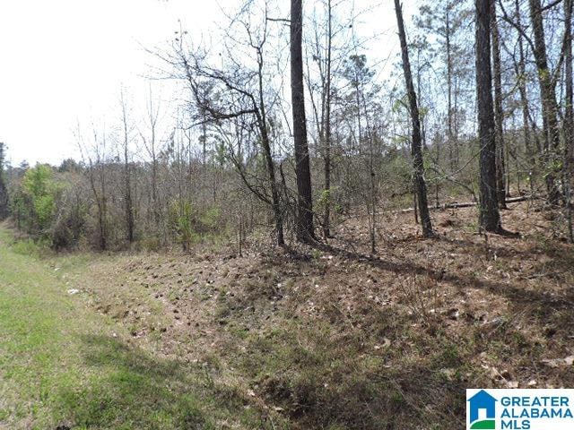 Listing photo 3 for County Road 329 Unit 0, Wedowee AL 36278