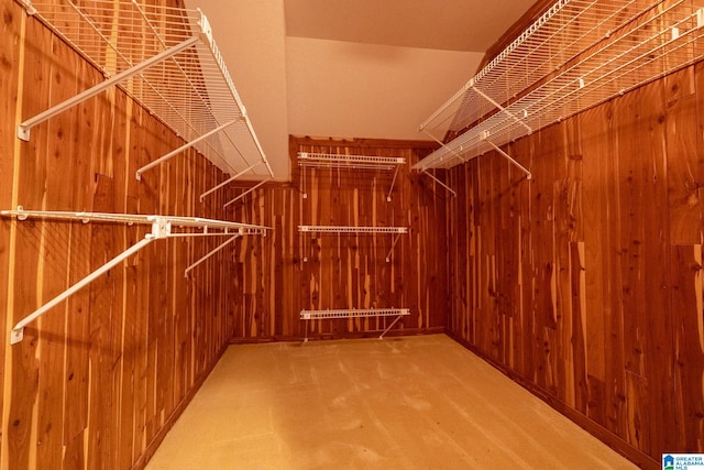 view of walk in closet