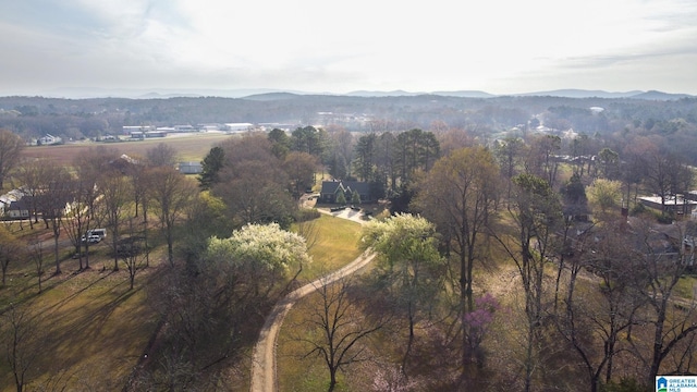 aerial view with a mountain view