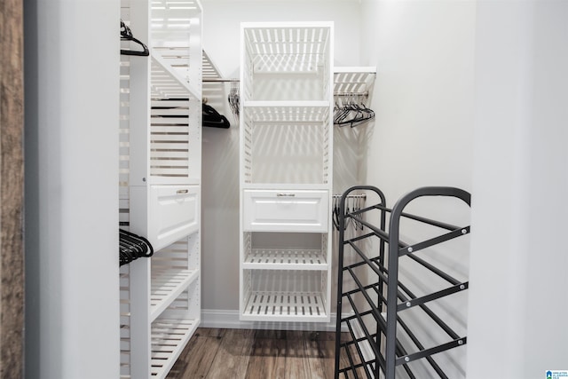 walk in closet featuring dark hardwood / wood-style floors