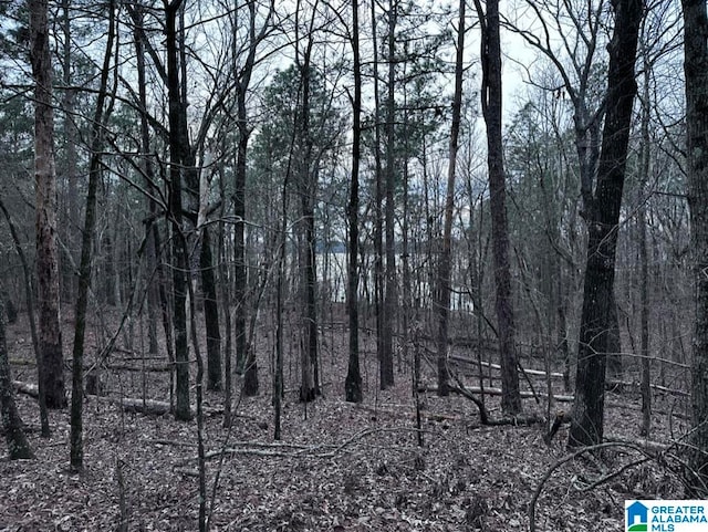 LOT4 Constellation Ave Unit 4, Talladega, AL 35014
