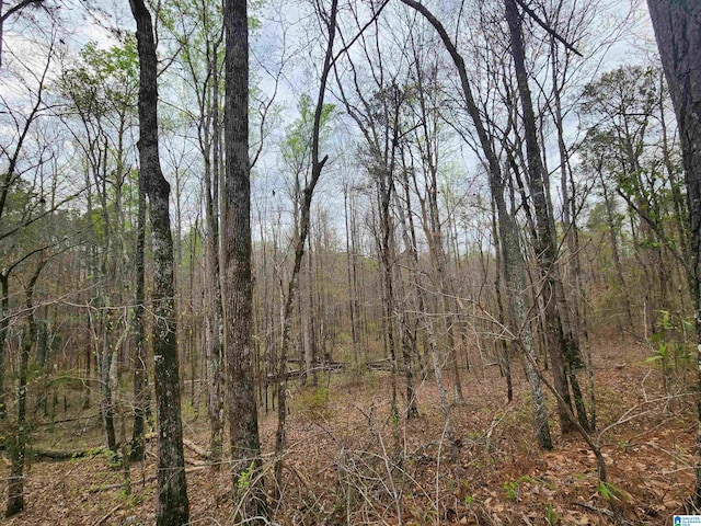 Listing photo 2 for 0000 County Road 141 Unit 1, Goodwater AL 35072