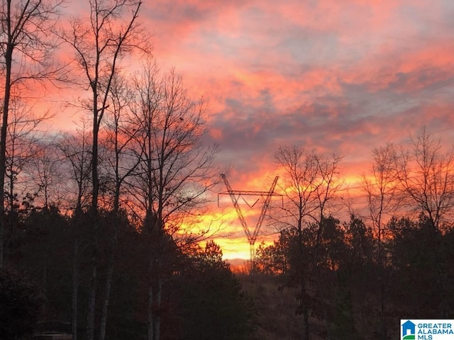 view of nature at dusk