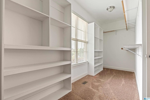 walk in closet with dark colored carpet