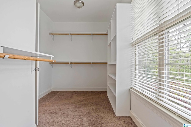 spacious closet with light carpet