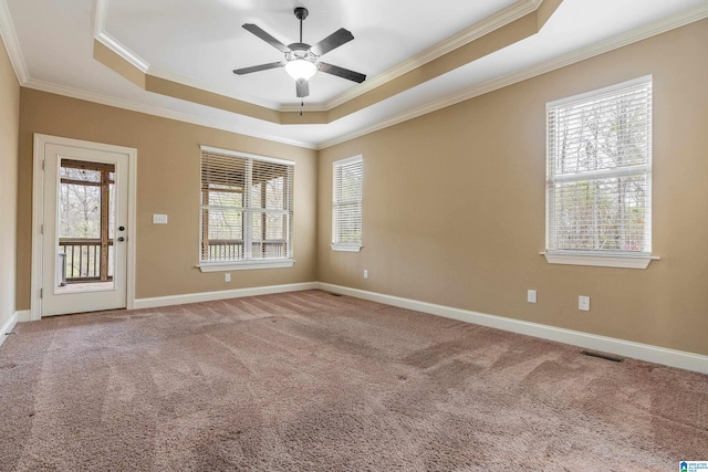 spare room featuring light carpet, a raised ceiling, and ceiling fan