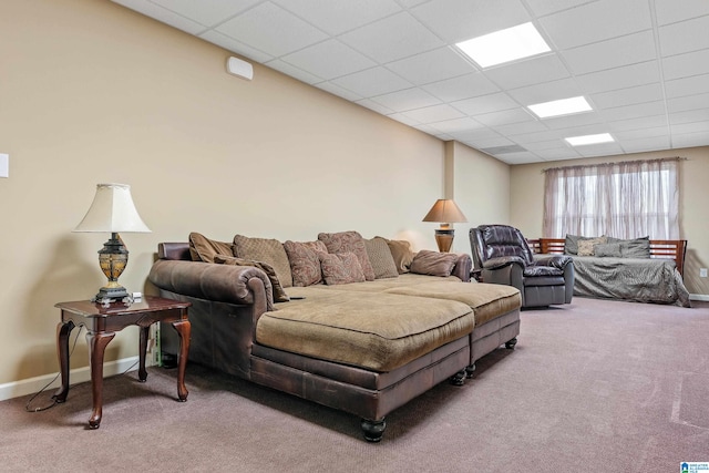 carpeted living room featuring a drop ceiling