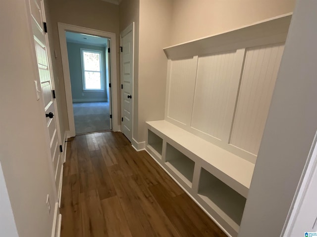 mudroom featuring dark wood-style flooring