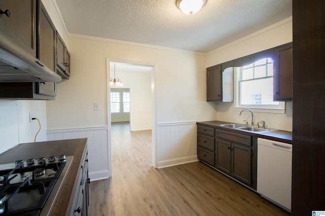 kitchen featuring sink, white dishwasher, hardwood / wood-style flooring, and a notable chandelier