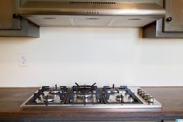 interior details with stainless steel gas cooktop