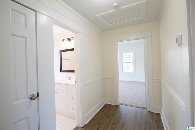 corridor with crown molding, dark wood-type flooring, and sink