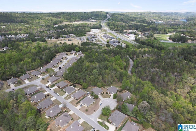 view of bird's eye view