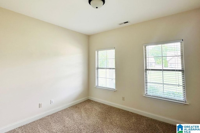 spare room with plenty of natural light and carpet flooring