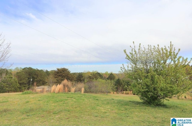 view of yard featuring a rural view