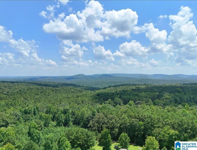 property view of mountains