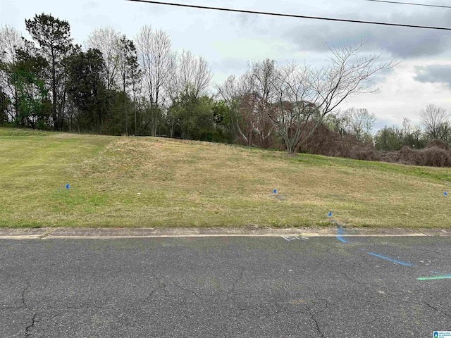 1513 Chaucer St Unit 7, Birmingham AL, 35214 land for sale