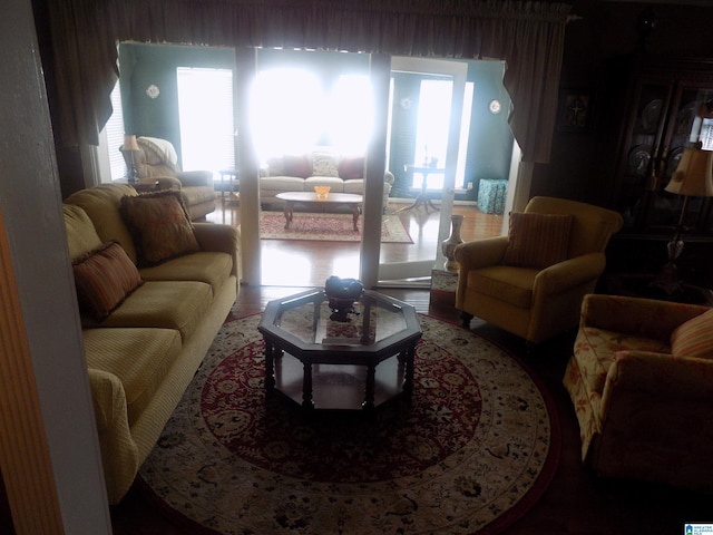 living room featuring wood-type flooring