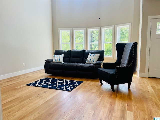 living room with light hardwood / wood-style flooring, a towering ceiling, and a wealth of natural light