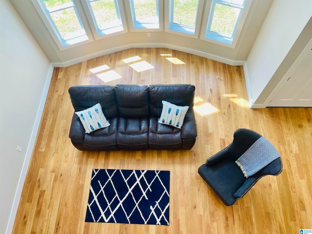 living room with hardwood / wood-style flooring and a towering ceiling