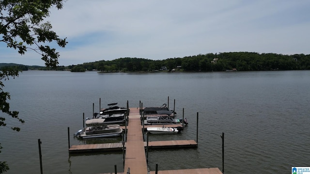 view of dock with a water view