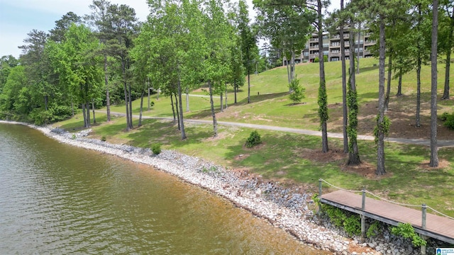 view of nearby features with a water view