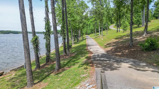 view of street with a water view