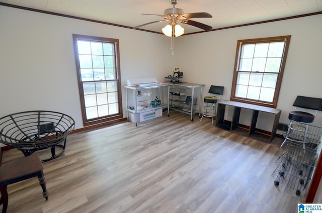 office area featuring ceiling fan, light hardwood / wood-style floors, and crown molding