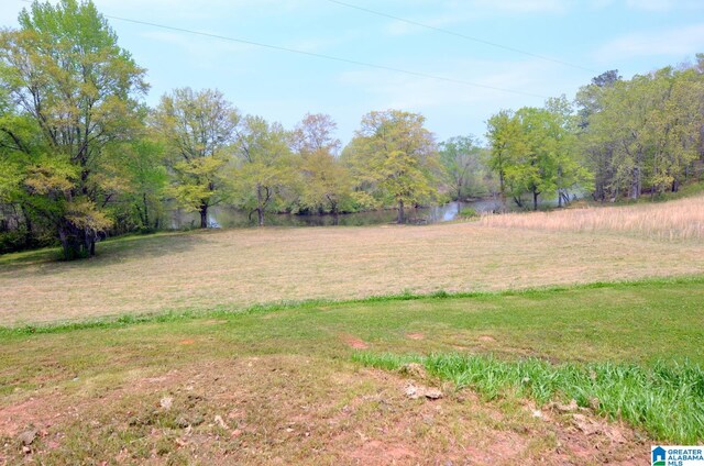 view of yard featuring a water view