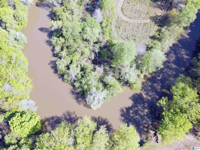 view of bird's eye view