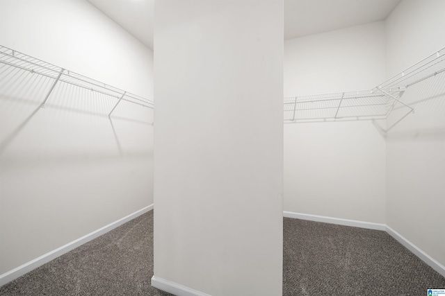 spacious closet with carpet