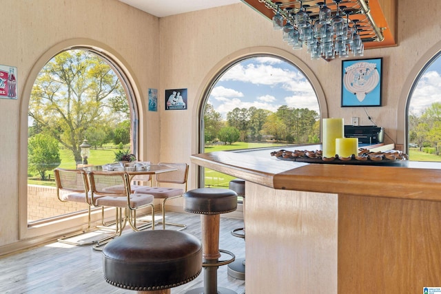 bar with light hardwood / wood-style floors