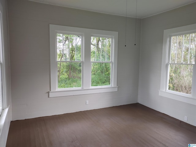 empty room with dark hardwood / wood-style flooring and a wealth of natural light