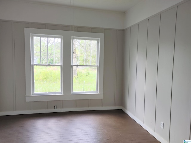 empty room featuring dark hardwood / wood-style floors and plenty of natural light