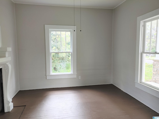 unfurnished room featuring dark hardwood / wood-style floors and a healthy amount of sunlight