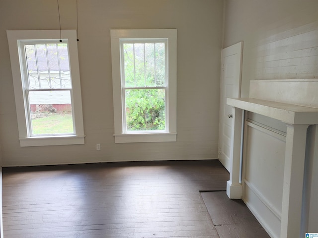 unfurnished room with dark wood-type flooring and a wealth of natural light