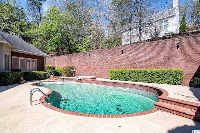 view of pool featuring a patio and pool water feature