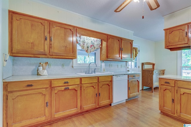 kitchen with plenty of natural light, dishwasher, ceiling fan, and light wood-type flooring