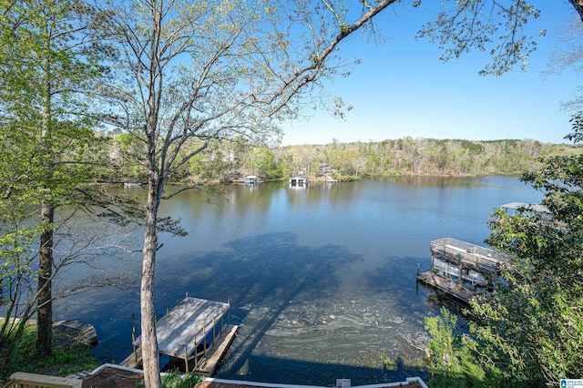 water view with a boat dock