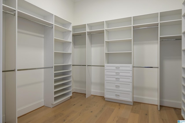 spacious closet with light hardwood / wood-style flooring