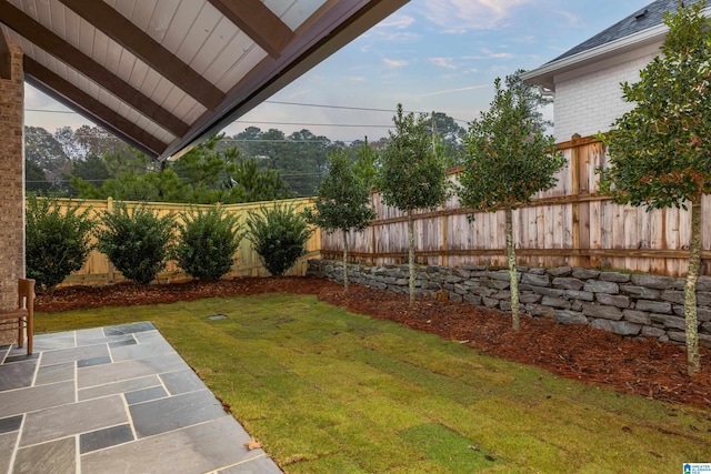 view of yard featuring a patio area