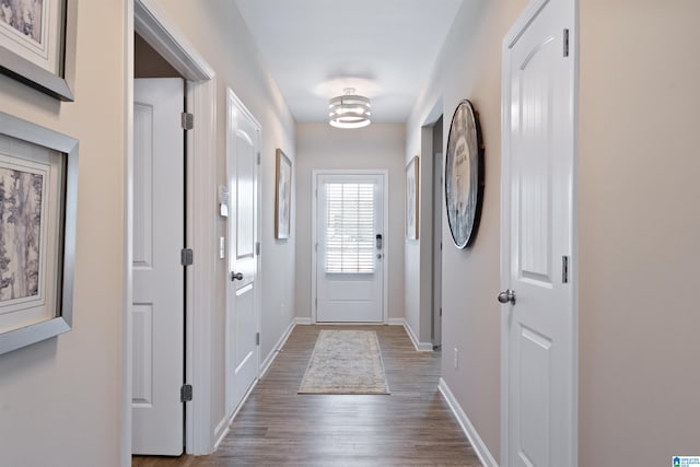 doorway featuring hardwood / wood-style flooring