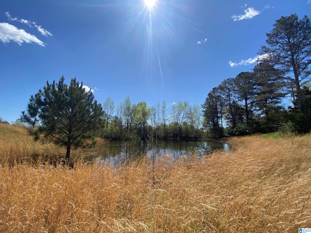 view of local wilderness featuring a water view